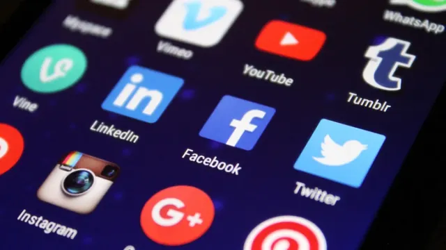 TikTok ABD ikinci çeyrek hesap uygulama verilerini açıkladı
