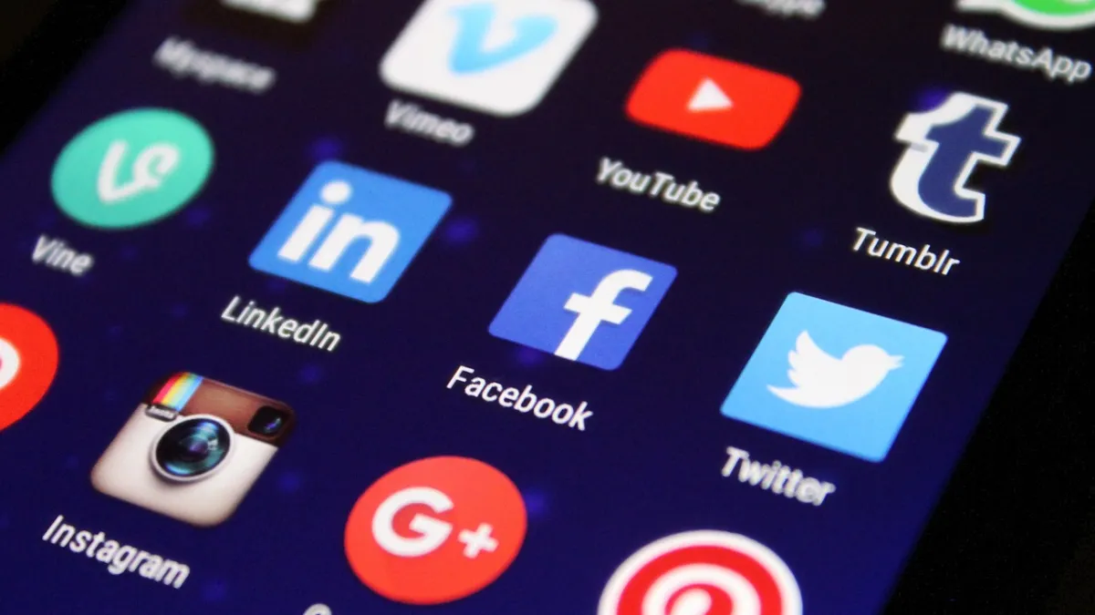 TikTok ABD ikinci çeyrek hesap uygulama verilerini açıkladı